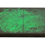 Bloc de referință ASME V