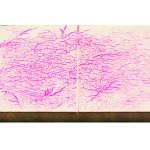 Bloc de referință ASME V