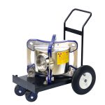 Instalație gamma cu Co-60 SENTRY