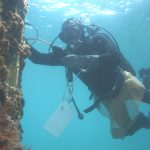 Aparat de măsurat grosimi Cygnus Underwater